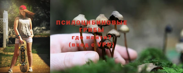 крисы Кинешма
