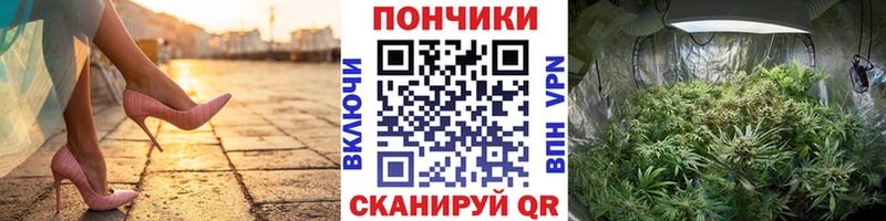 Купить где  Подпорожье  Шишки марихуана Amnesia 